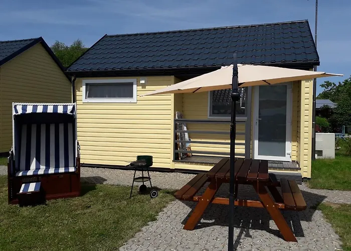 Male - Letniskowe * ポビエロボ