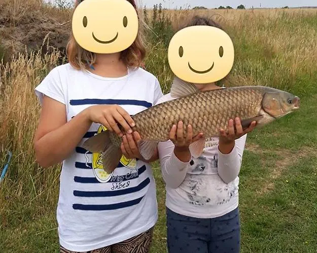 別荘 Male - Letniskowe ポビエロボ